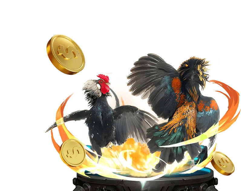 Hướng dẫn đặt cược đá gà trên FB88 Link